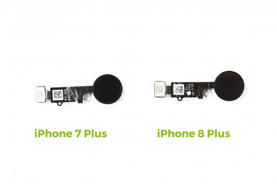 مقایسه آیفون 8 پلاس با آیفون 7 پلاس