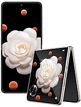 Honor Magic V Flip (HN2LRADM)