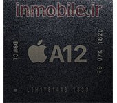 A12 - APL1W81